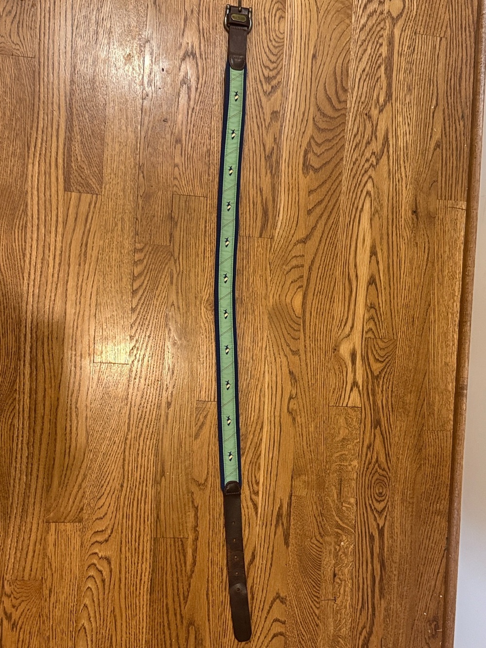 Mint Green Embroidered Leather Belt with Dark Trim